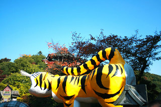 131116-1.jpg
