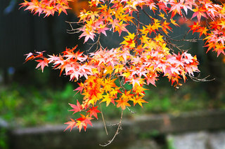 131126-4.jpg
