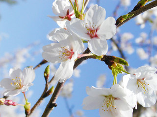 140205-2.jpg