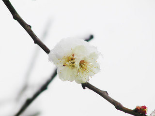 140206.jpg