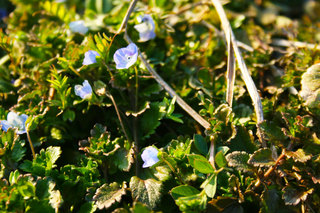 140223-1.jpg