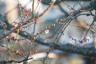 140223-3.jpg