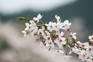 140413-1.jpg