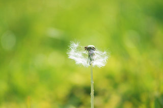 140504-3.jpg