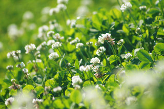 140504-4.jpg