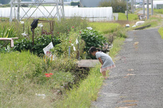 140915-1.jpg
