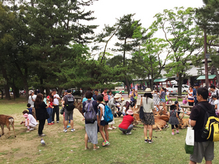150628-1.jpg