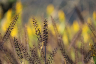 151103-2.jpg