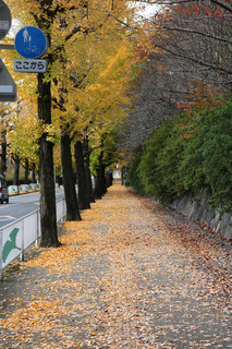 151112-4.jpg