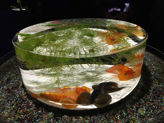160822-2.jpg
