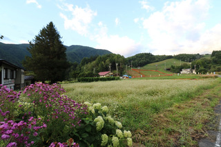 160831-8.jpg