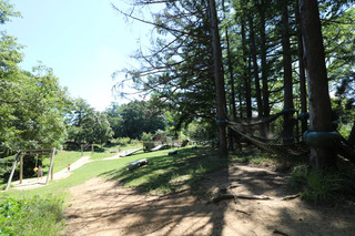 160831-9.jpg