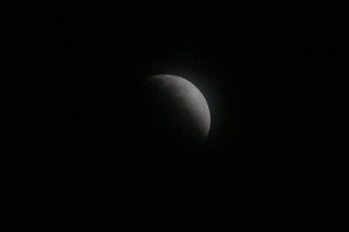 180131.jpg