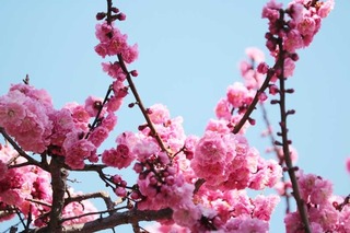 180317-4.jpg