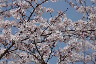 180401-3.jpg