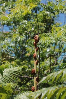 180411-18.jpg
