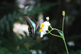 180411-19.jpg