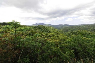 180411-20.jpg