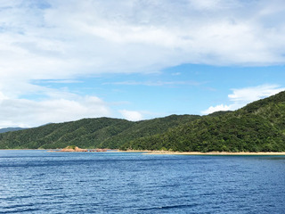 180828.jpg
