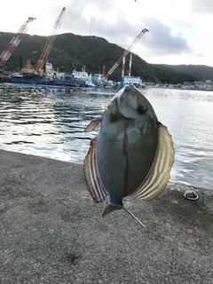 180908-3.jpg