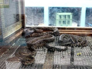 180910-2.jpg