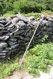180910-3.jpg