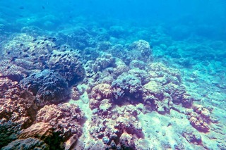 180911-2.jpg