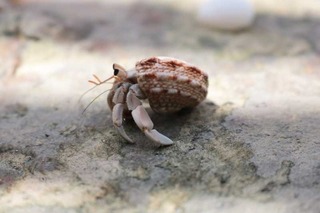 180919-1.jpg