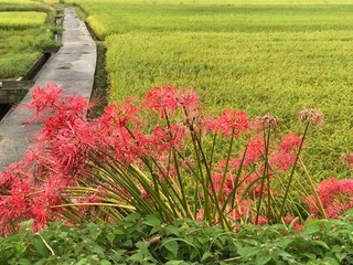 180927-1.jpg