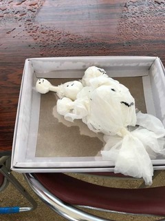 181006-2.jpg