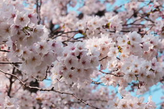 190407-1.jpg