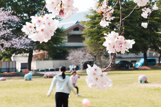 190407-2.jpg