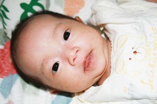 2005018.jpg