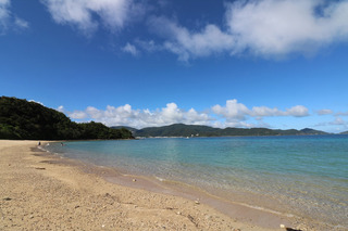 200808-2.jpg