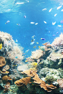 200927-3.jpg