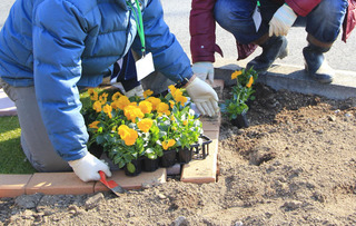 201111.jpg